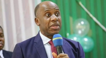 I pray Nigerians continue to commit suicide – Amaechi [Video]