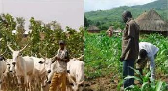 Clash between farmers and herdsmen in Oyo leaves 3 dead