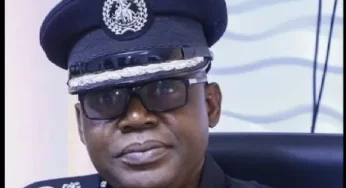 Lagos police bust illegal arms factory