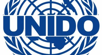 UNIDO advocates support for local manufacturers