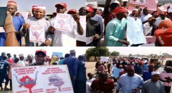 BREAKING: Protest hits Kano over Appeal Court judgment