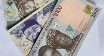 CBN speaks on banning old N200, N500, N1000 notes as December deadline approaches