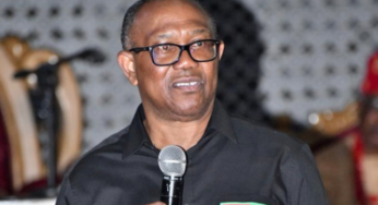 2027: Labour Party reserves presidential ticket for Peter Obi