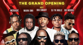 2baba, Goya Menor, Maginito, Terry G, others storm Otukpo for Creed Nightlife grand opening