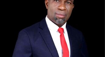 Abia Central: Labour Party kicks as court sacks Darlington Nwokocha