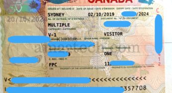 Canada to accelerate processing of visitor visas as part of immigration system overhaul