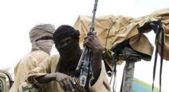 Bandits burn 20 farms, demand N30m levy in Niger