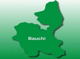 ODESHI! Man shot dead while trying gun charm in Bauchi