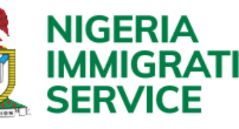 Immigration rescues 2 mothers headed to Niger- bound for NAPTIP in Kebbi