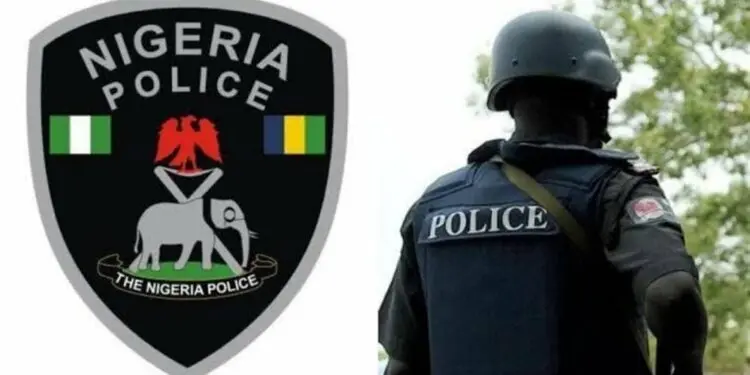 14 suspected criminals arrested and paraded by Osun police