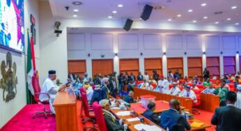 BREAKING: Senate introduces bill to establish independent body for local government elections