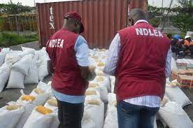 NDLEA seizes 478kg of illicit substances, arrests 90 in Kaduna