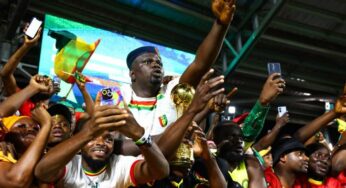 AFCON 2023: Six Guinea fans die while celebrating victory