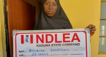 NDLEA arrest woman supplying ammunition to bandits on Kano expressway