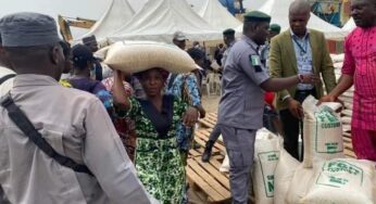 Customs begins sales of seized food items, auction 25kg rice for N10,000