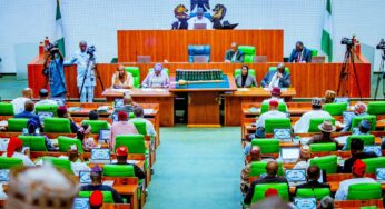 Lawmakers propose 6-year single tenure for President in Nigeria