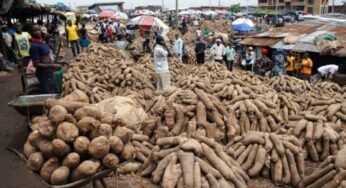 Benue emerges 20th Nigerian state with fastest-rising food prices