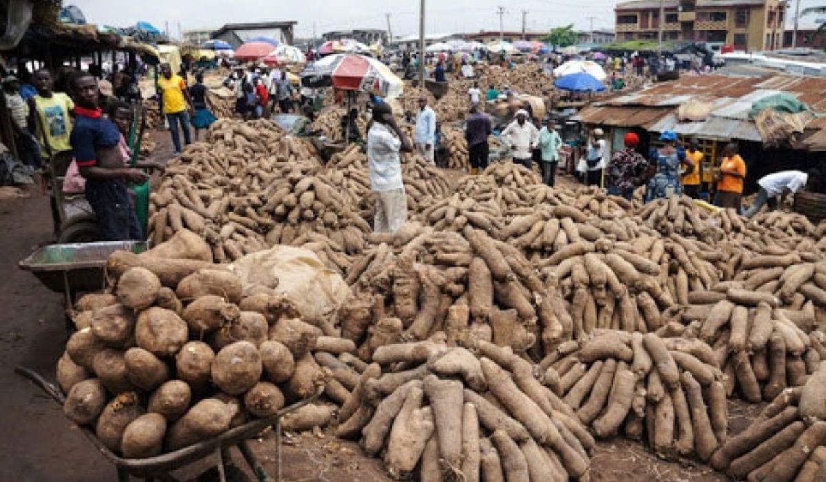 Benue emerges 20th Nigerian state with fastest-rising food prices