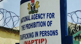 NAPTIP nabs 80-year-old Innocent Josephine for child trafficking in Benue