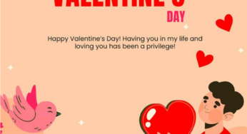 Happy Valentine’s Day 2024: Wishes, quotes, WhatsApp status for your wife