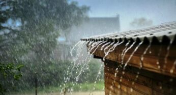 BREAKING: Showers of blessings as Abuja records first rainfall in 2024