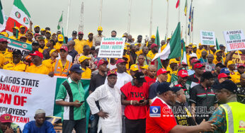 Hardship in Nigeria: TUC dares Tinubu, vows to protest