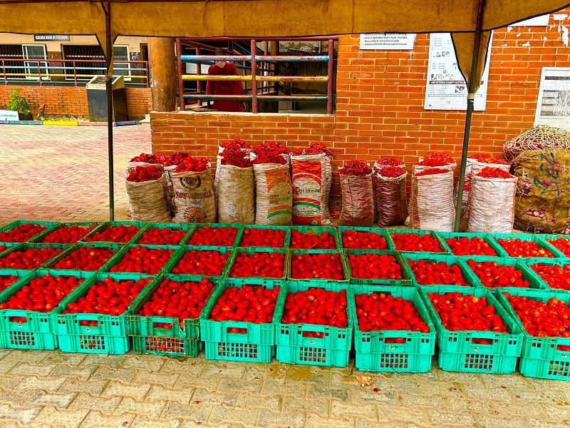 Massive turnout as Lagos discounted food markets commence sales