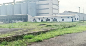 Benue govt set to revive Igumale Cement Factory, Taraku Mills, others