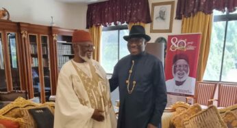 Abdulsalami, Jonathan, others attend state police dialogue in Abuja