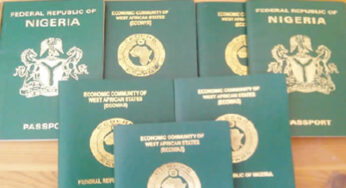 Nigerian passport ranked among worst in the world [TOP 20]