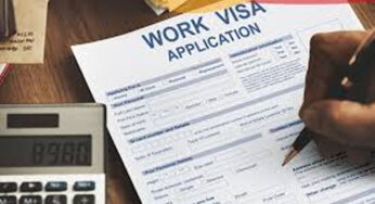 Germany issues 80,000 work visas in first half of 2024