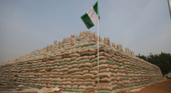 FG suspends plan to sell ₦40,000 rice bags to public servants