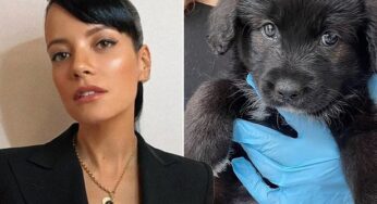 British singer, Lily Allen reveals why she returned her adopted puppy, Mary