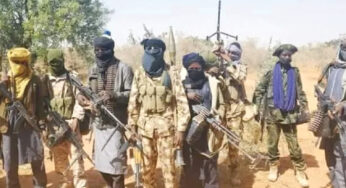 More than 30 bandits killed, many injured in Zamfara rival clash