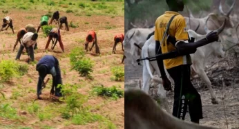 Three killed, eight injured as farmers, herders clash in Adamawa