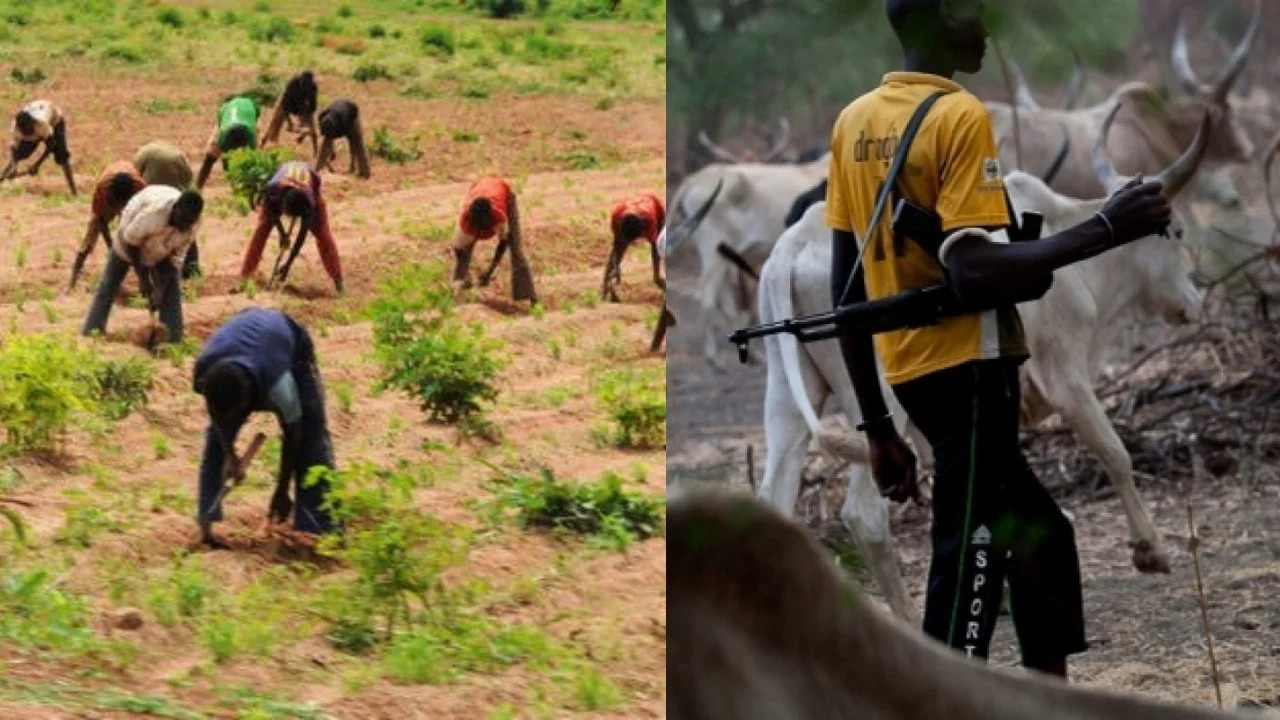 Three killed, eight injured as farmers, herders clash in Adamawa