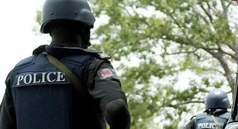 Two arrested for stealing police station signpost in Kano