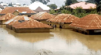 NEMA advises Benue, Kogi, other states to prepare for flood