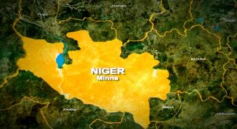 Niger State: Mob murders Immigration officer over land dispute