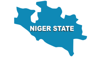 Newborn abandoned on Niger farm found dead