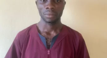 Ex-military personnel arrested in Bauchi for allegedly defrauding job seekers