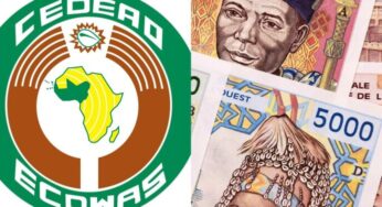 ECOWAS suspends ECO currency