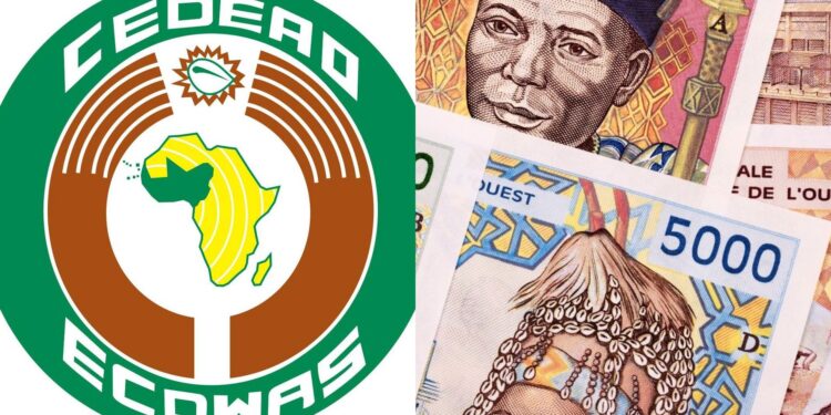 ECOWAS suspends ECO currency