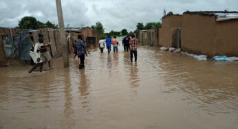 Floods devastate five communities in Yobe