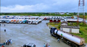 300 trucks to lift petrol from Dangote Refinery on Sunday – NNPC