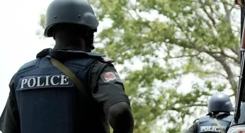 Police nab three suspects for damaging farmland in Ogun