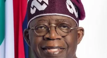 Police Arrest Man Who Climbed High Tension Pole to Call for Tinubu’s Resignation