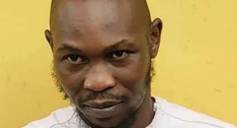 Alleged N15m bribe: Seun Kuti urged VeryDarkMan to expose Bobrisky