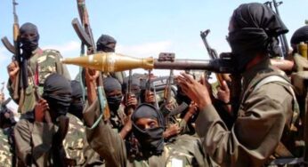 Boko Haram strikes Yobe, kills villagers, sets houses on fire