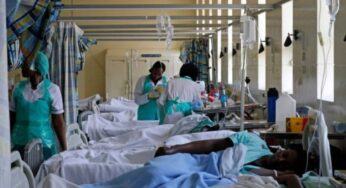 Cholera kills 4, 36 hospitalized in Adamawa